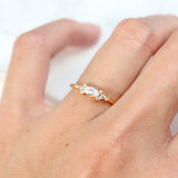 Jody Ring