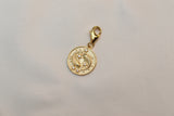 Zodiac Charm